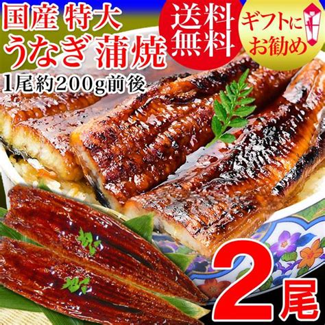 敬老の日ギフト 9月16日 お中元ギフト うなぎ 蒲焼き 国産 鰻 うなぎ蒲焼き 九州産 2尾 特大約180〜200g前後×2尾鰻 送料