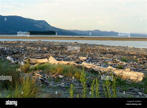 Nueva Zelanda Isla del Sur la región de Tasmania Collingwood a lo