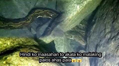 Kakaiba Ang Nakita Namin Sa Ilalim Ng TubigpaghaHunting Ng Kasili O