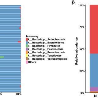 Histogram Of The Community Composition Of Gut Microbiota At The Phylum