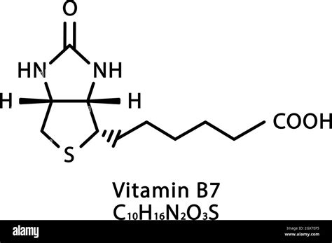 Vitamina B Estructura Molecular De La Biotina Vitamina B F Rmula