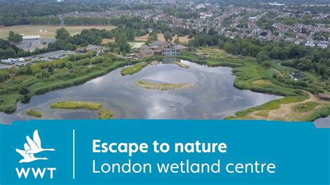 Escape To Nature London Wetland Centre WWT YouTube