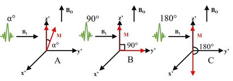 4 Excitation of Net Magnetization Vector using (A) α 0 RF pulse; (B ...