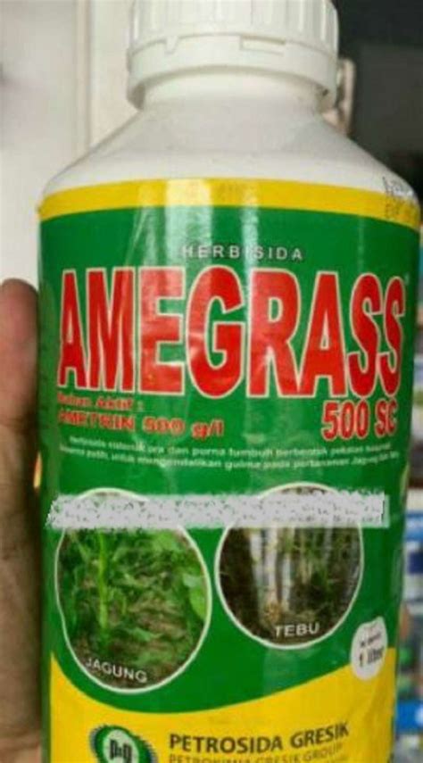 Jual Herbisida Amegrass Sc Dari Petrosida Gresik Isi Liter Di