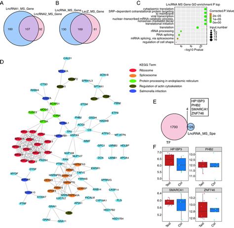 Global Analysis Of Flt1p1 Interacting Proteins A Venn Diagram Showing Download Scientific