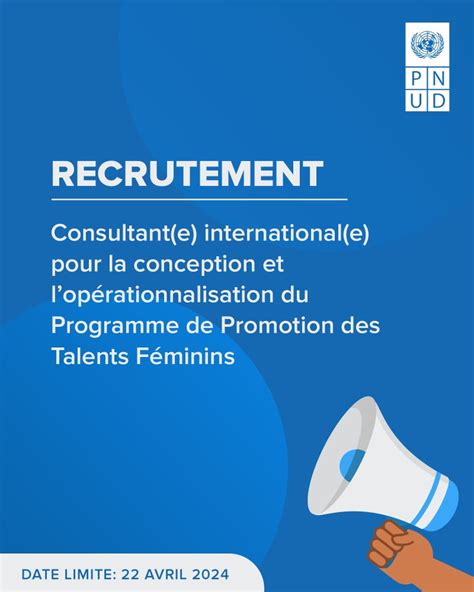 Pnud Mali Recrute Consultant H F Y A Bara Offres D Emplois Et Stages