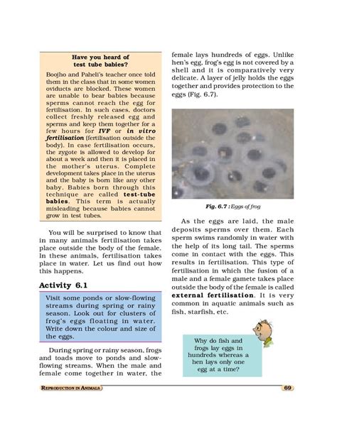 Ncert Book Class 8 Science Chapter 6 Reproduction In Animals 2024 25