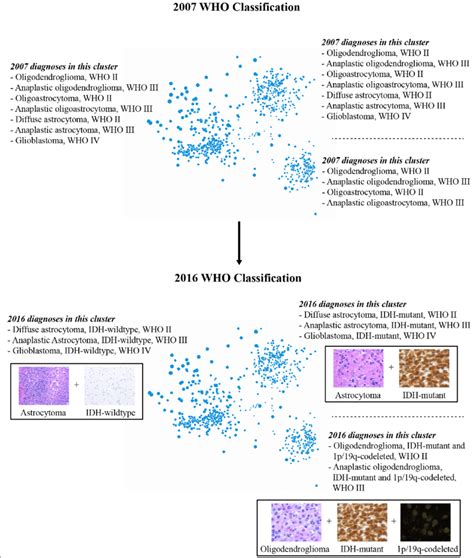 2D Visualization Of The Revised 2016 WHO Classification Of Diffuse