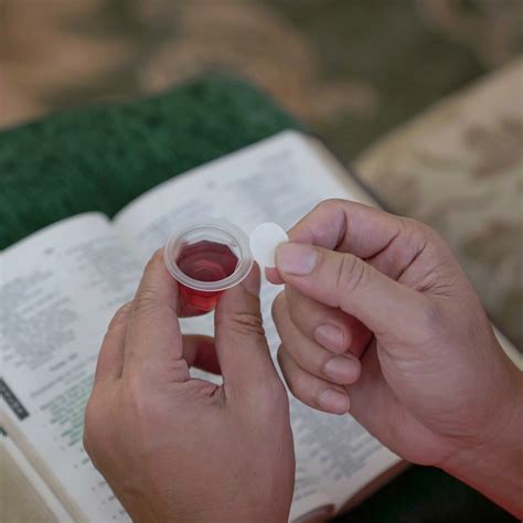 Diocesan Liturgical Ministry Formation Course Communion To The Sick