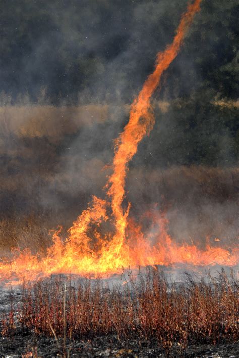 What Is A Firenado Wonderopolis