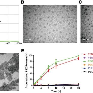 Characterization Of The Micelles A Size Distribution Of PEGSSPTX4