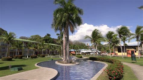 Palm Trees In The Middle Of A Swimming Pool In A Tourist Complex Hotel