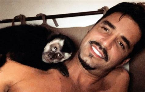 Macaco de Latino morre atropelado após fugir Dia mais infeliz da