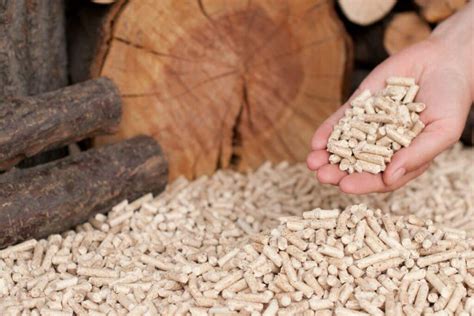 Comparez les pellets de bois quelle est la différence entre les