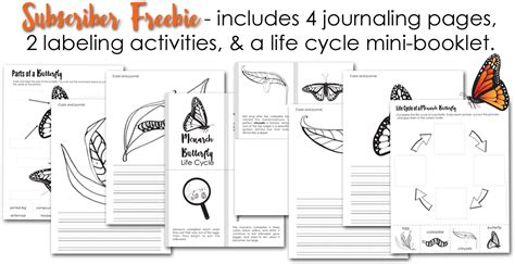 Download Monarch Butterfly Life Cycle Printables Subscriber Monarch