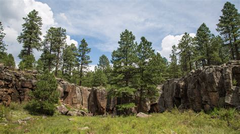 Peace & Quiet at the Grand Canyon and Williams, Arizona