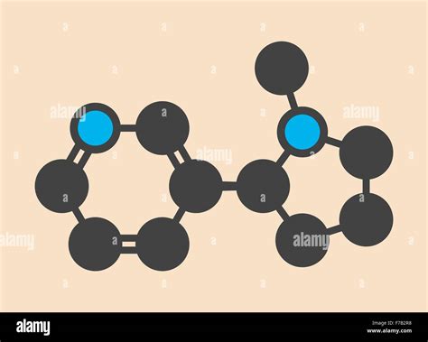 Nicotine Molecule Hi Res Stock Photography And Images Alamy