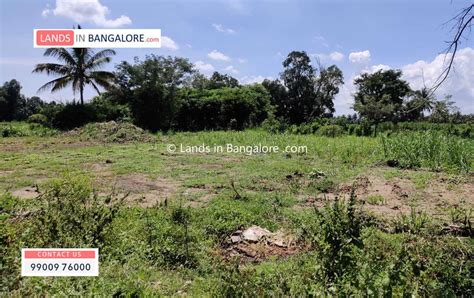 2 Acres Agricultural Land For Sale In Kaggalipura Kanakapura Road