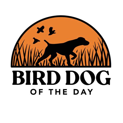 What Are Bird Dogs