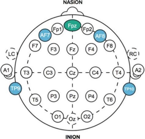 The placement of EEG electrodes. | Download Scientific Diagram