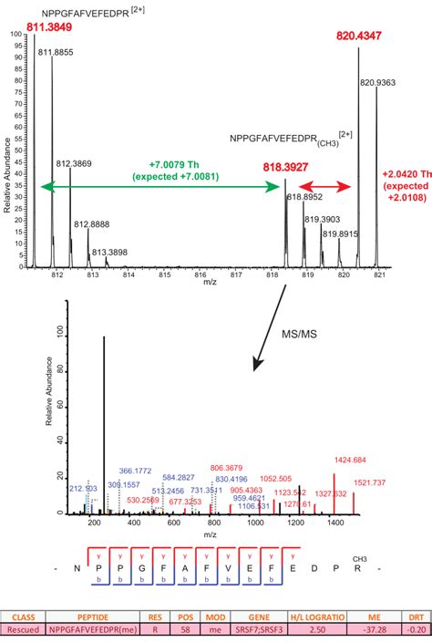 A Mass Spectrometry Based Proteomics Approach For Global And High