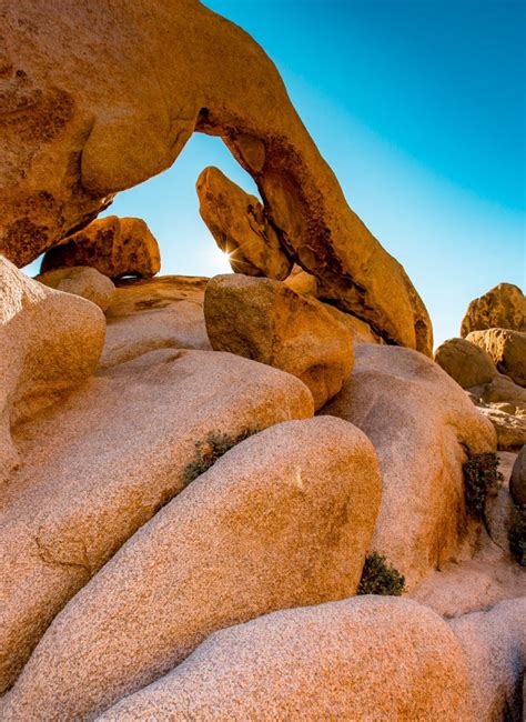 Fall In Joshua Tree More Than Just Parks National Parks Guides