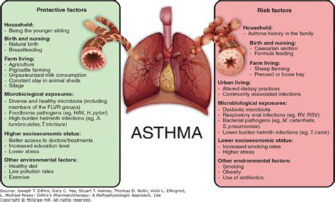 Pulmonary Pharmacology Flashcards Quizlet