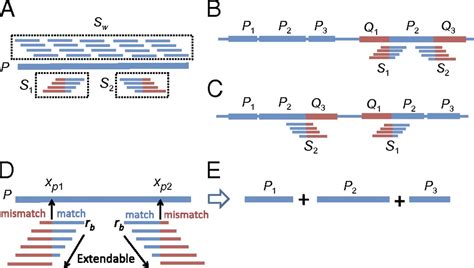 Assembler For De Novo Assembly Of Large Genomes Pnas