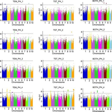 Field High Throughput Phenotyping For Plant Height A Digitally