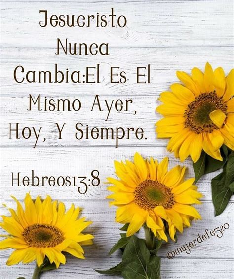 Diana Perez On Instagram “🙌🏽🌻hebreos13 8🙏🏼🌻🙇🏻‍♀️ Palabradedios