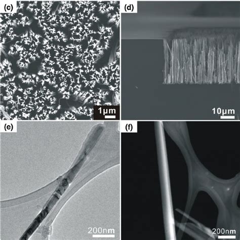 Fesem Images Of The Fabricated Pn Junction Sinw Photodiode Arrays