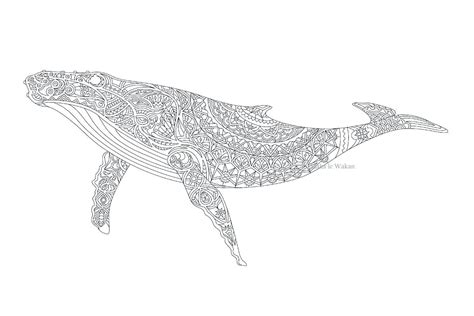 Whale Coloring Pages