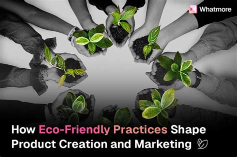 How Eco Friendly Practices Shape Product Creation And Marketing Whatmore