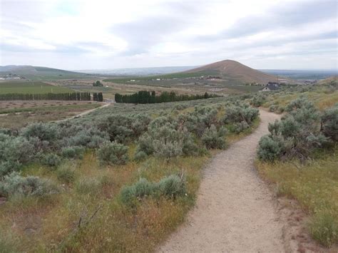 Badger Mountain - Skyline Trail — Washington Trails Association