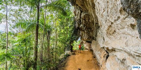 Topes De Collantes National Park In Cuba Travel Guide Love Cuba Blog