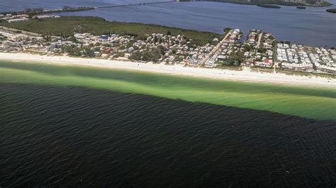 A Year Ago Toxic Red Tide Took Over Florida’s Gulf Coast What Would It Take To Stop It Next