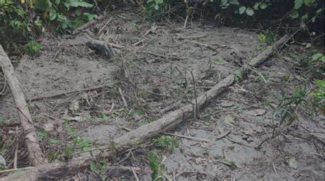 Cuerpos De Tres Mujeres Fueron Encontrados En El Río Esmeraldas El Comercio