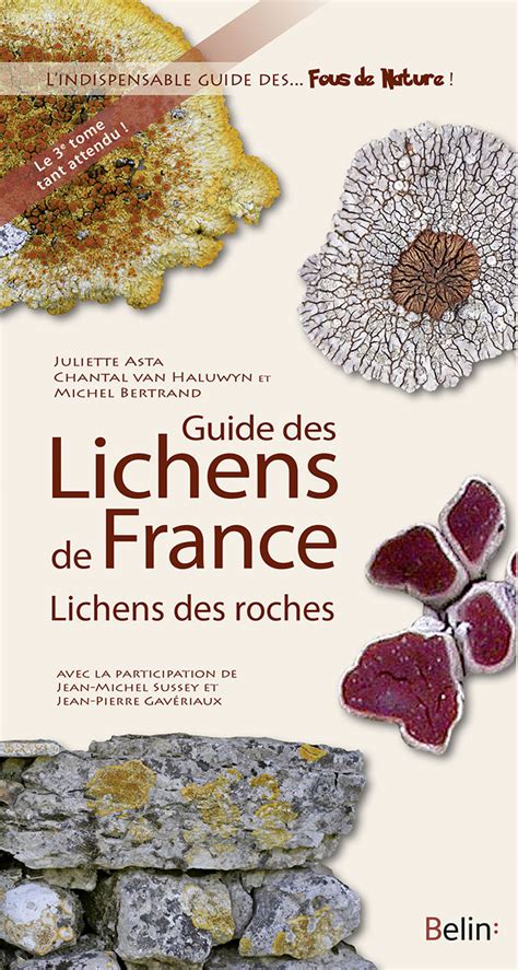 Enqu Te Lichens Auvergne Concours Photos Lichens Forestiers Du