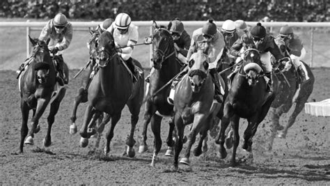 Most Memorable Moments At Saratoga Race Course Americas Best Racing