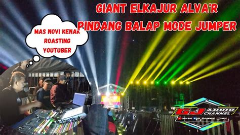 Giant Elkajur Alva R Pindang Balap Mode Jumper Mas Nopi Kenak Roasting