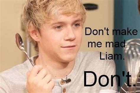 One Direction Memes - One Direction Photo (33150798) - Fanpop