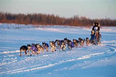 Translating Weather For Alaskas Iditarod Sled Dog Race Iarc