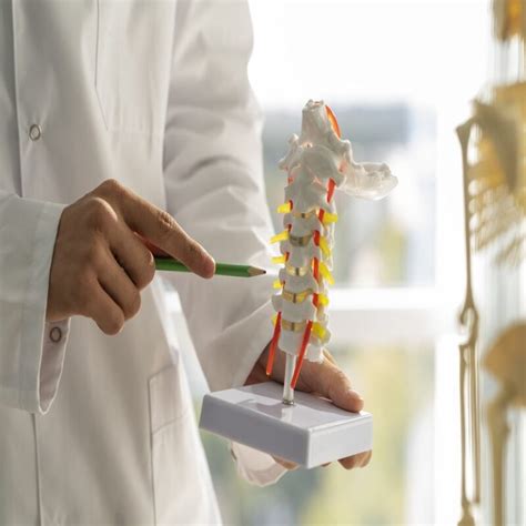 Symptom Causes And Diagnosis Of Spinal Instability