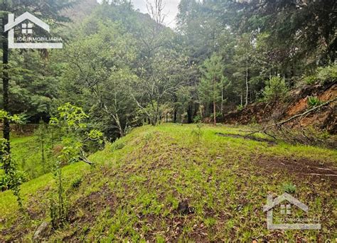 Bonito Terreno En Mineral Del Chico Carboneras Lamudi Mx