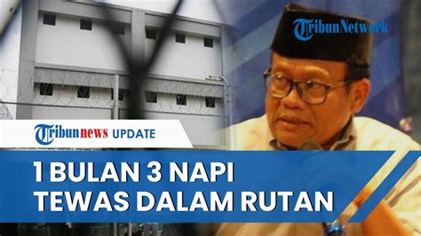 Ipw Minta Kapolri Perintahkan Seluruh Kapolda Taati Aturan Keselamatan