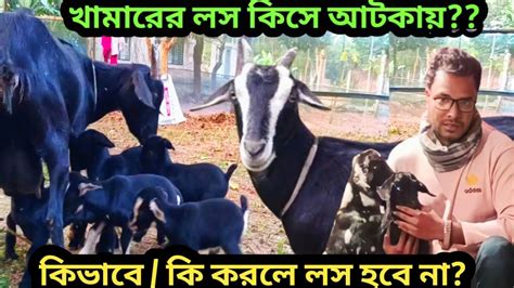 লাভছাগল পালন পদ্ধতি।।ছাগলের খামার লাভ ও লসের কারণ কিদেশি ব্ল্যাক