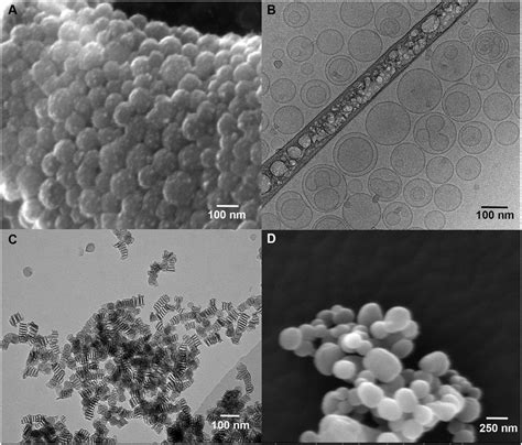 Electron Microscope Images Of Nanoparticles A Scanning Electron