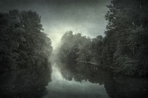 Forest River Photography And Processing 2010 Yaroslav Gerzhedovich