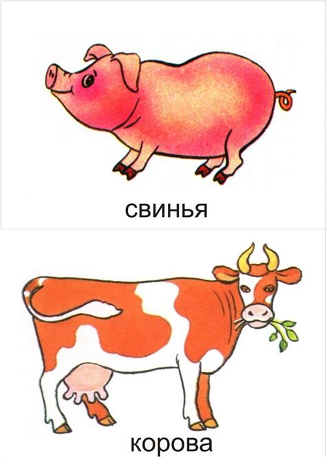Вправа: Домашні та дикі тварини в картинках.