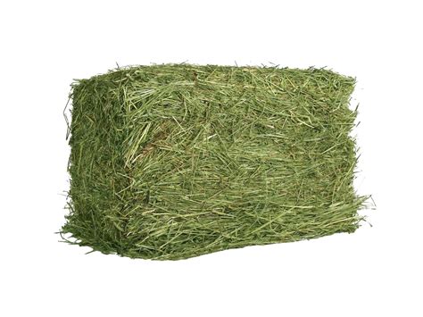 Hay Png Transparent Images